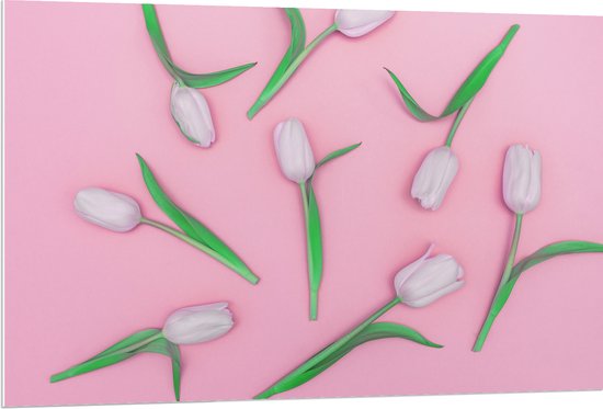 PVC Schuimplaat - Groepje Lichtroze Tulpen op Roze Oppervlak - 120x80 cm Foto op PVC Schuimplaat (Met Ophangsysteem)