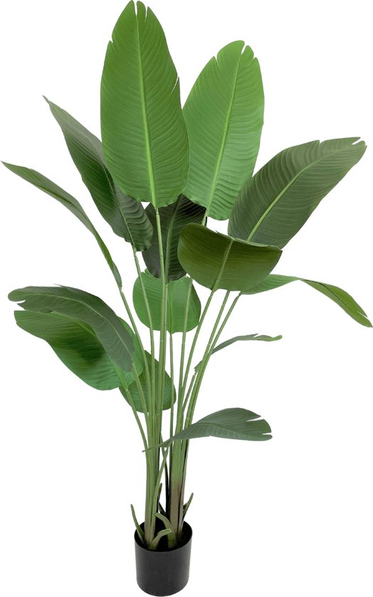 Strelitzia Kunstplant 160 cm | Strelitzia Nicolai Kunstplant Groen | Kunstplanten voor Binnen | Nep Strelitzia 160cm