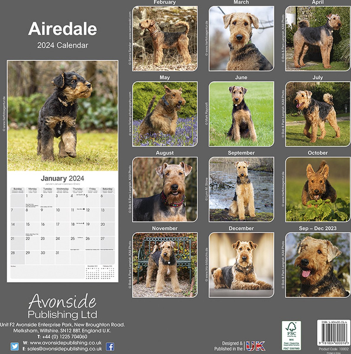 Airedale Terrier Kalender 2024