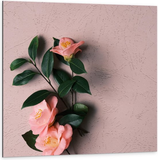 Dibond - Bloem - Bladeren - Muur - Roze - 100x100 cm Foto op Aluminium (Met Ophangsysteem)