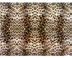 Raved Raamfolie/Plakfolie - Decoratiefolie - Luipaard Print Bruin - 2 m x 45 cm