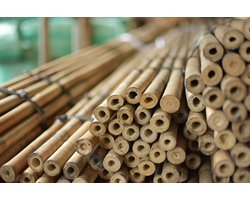 Intergard Bamboestokken tonkin tonkinstokken 180cm 14/16mm per 250 stuks