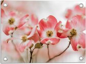 Tuinposter – Bloemen - Takken - Roze - 40x30 cm Foto op Tuinposter (wanddecoratie voor buiten en binnen)