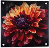 Tuinposter – Oranje Roze Bloem - 50x50 cm Foto op Tuinposter (wanddecoratie voor buiten en binnen)