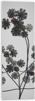 Acrylglas - Takken - Bloemen - Bladeren - 30x90 cm Foto op Acrylglas (Wanddecoratie op Acrylaat)