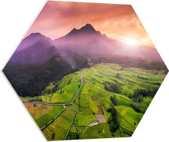 PVC Schuimplaat Hexagon - Uitzicht over de Rijstvelden in het Indonesische Landschap - 70x60.9 cm Foto op Hexagon (Met Ophangsysteem)