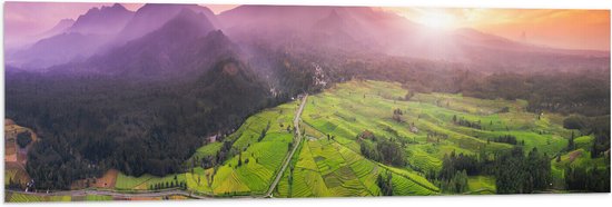 Vlag - Uitzicht over de Rijstvelden in het Indonesische Landschap - 120x40 cm Foto op Polyester Vlag