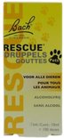 Afbeelding nummer  15