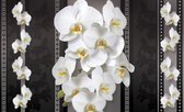 Fotobehang Vlies | Bloemen, Orchideeën | Zwart, Wit | 368x254cm (bxh)