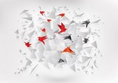 Explosion Abstract Birds Photo Wallcovering
