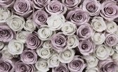 Roses Flowers Pink White Photo Wallcovering