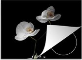 Inductie beschermer - Bloemen - Orchidee - Wit - Stilleven - Inductie kookplaat - Inductie fornuis - Inductie beschermingsmat - 59x51 cm - Keuken decoratie - Inductie protector - Keuken accessoires