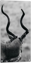 Tuinposter – Achteraanzicht van Antilope (Zwart-wit) - 50x100 cm Foto op Tuinposter (wanddecoratie voor buiten en binnen)