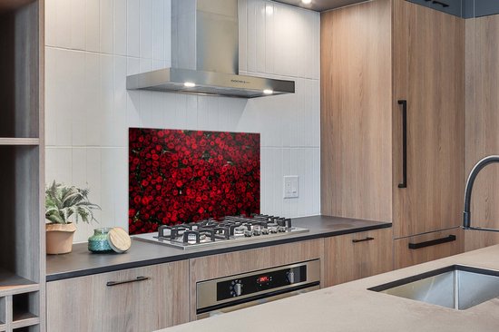 Spatscherm keuken 100x65 cm - Kookplaat achterwand Bloemen - Rozen - Rood - Muurbeschermer - Spatwand fornuis - Hoogwaardig aluminium