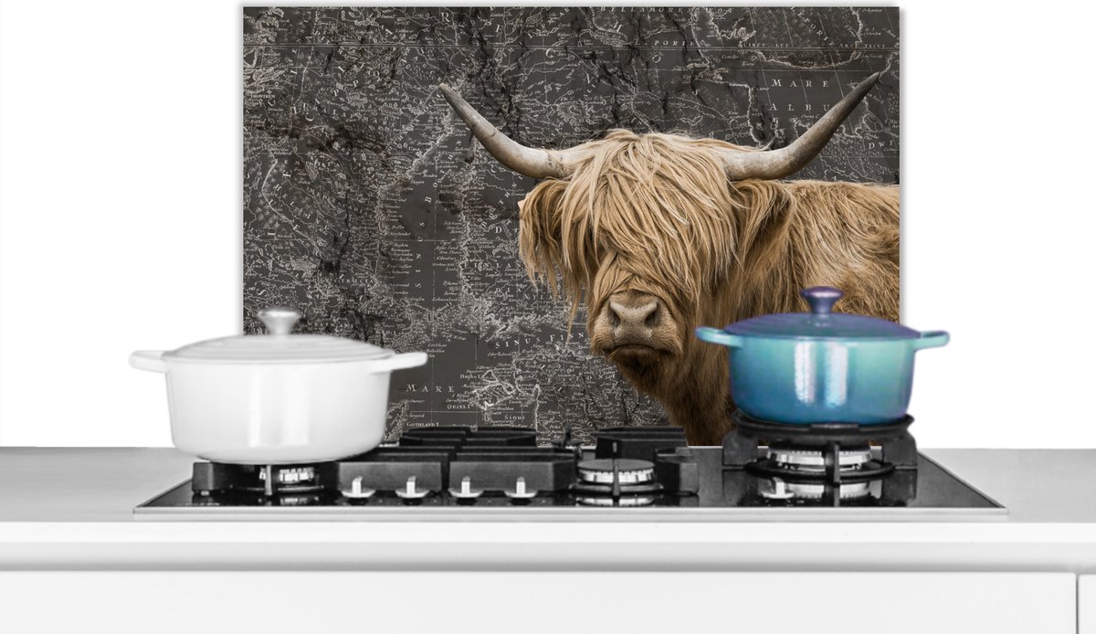 Spatscherm keuken 70x50 cm - Kookplaat achterwand Schotse hooglander - Wereldkaart - Dieren - Muurbeschermer - Spatwand fornuis - Hoogwaardig aluminium