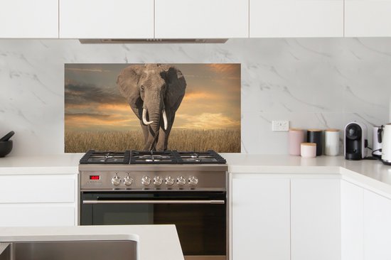 Spatscherm keuken 120x60 cm - Kookplaat achterwand Olifant - Dieren - Gras - Natuur - Muurbeschermer - Spatwand fornuis - Hoogwaardig aluminium