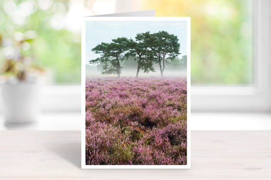 Foto: Wenskaart utrechtse heuvelrug set van 3 stuks bloeiende heide amerongse bos natuur gevouwen kaart 17 5 x 12 5 cm incl envelop