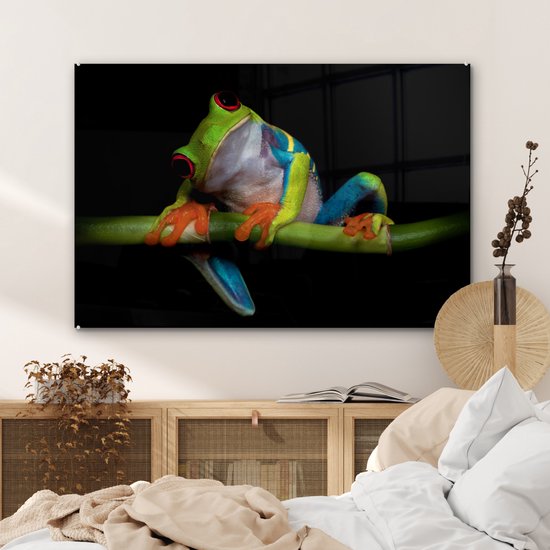 Peinture sur verre - Grenouille - Animaux - Vert - Oranje - Rouge - Photo sur verre - Peinture sur verre - 90x60 cm - Décoration murale