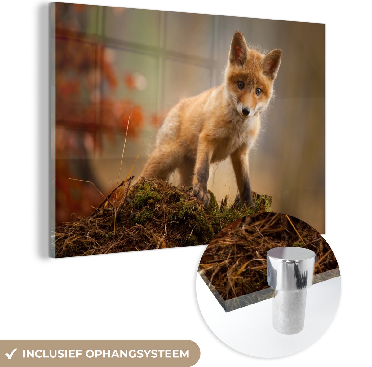 ® Glasschilderij 60x40 cm - Schilderij acrylglas - Vos - Baby - Dieren - Natuur - Foto op glas - Muurdecoratie woonkamer - Wanddecoratie slaapkamer - Schilderijen