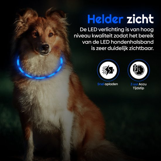 LED Halsband Hond - Lichtgevende Halsband Hond - Blauw - S - USB Oplaadbaar - Professor Q