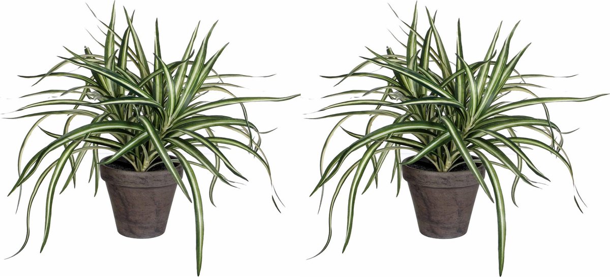 Mica Decorations Dracaena kunstplanten - 2x stuks - 34 cm - in grijze pot - Kunstplanten/nepplanten Groen