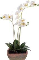 Witte orchidee kunstplant in terracotta pot 50 cm - Orchidaceae - Woondecoratie/accessoires - Kunstplanten - Nepplanten - Orchidee planten in pot