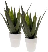 2x Green art Aloe Vera en pot 35 cm - Plantes artificielles