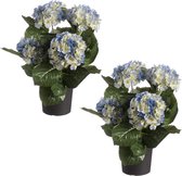 Set van 2x stuks blauwe hortensia kunstplanten in zwarte kunststof pot 44 cm - Hydrangea - Woondecoratie