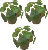 3x Kunstplanten pannenkoeken planten groen in pot 13 cm - Kamerplant/kantoorplant groen pilea