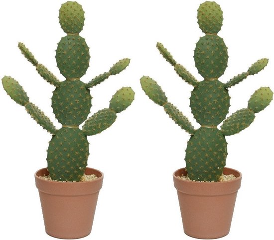 2x Plantes artificielles Opuntia / disc cactus vert 43 cm en pot marron /  terre cuite... | bol