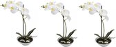 3x Kunstplanten in pot witte orchidee 38 cm - Vlinderorchidee/Phalaenopsis wit - Nepplanten