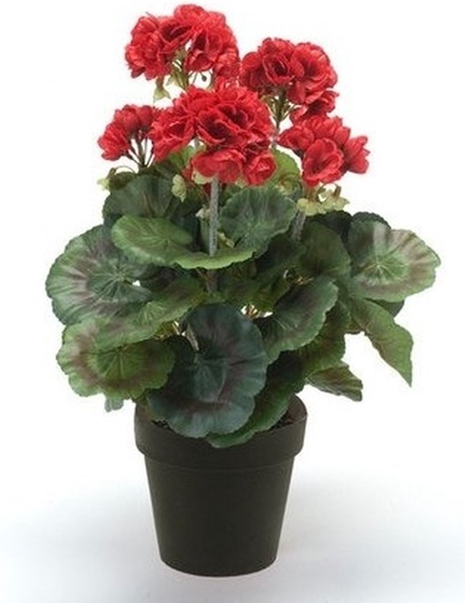 3x Kunstplant Geranium rood in pot 35 cm - Kamerplant rode Geranium ...