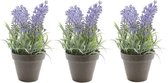 3x Groene Lavandula/lavendel kunstplant 17 cm in zwarte plastic pot - Kunstplanten/nepplanten