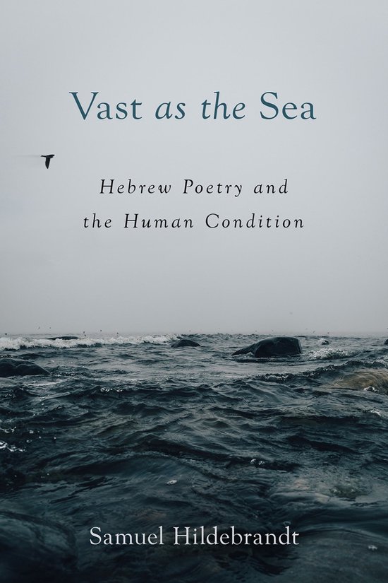 Boekomslag 'Vast as the Sea' van Samuel Hildebrandt met een mistig zeegezicht en een vogel in de verte.