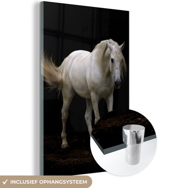 MuchoWow® Glasschilderij - Paarden - Boerderijdieren - Zwart - Acrylglas Schilderijen - Foto op Glas