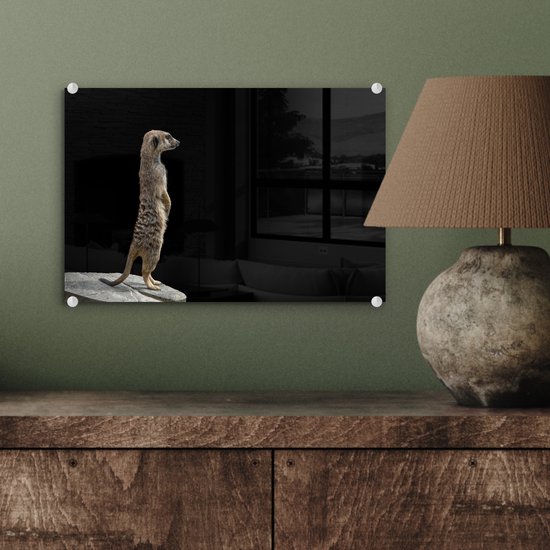 MuchoWow® Glasschilderij 30x20 cm - Schilderij acrylglas - Stokstaartje - Wilde dieren - Zwart - Foto op glas - Schilderijen