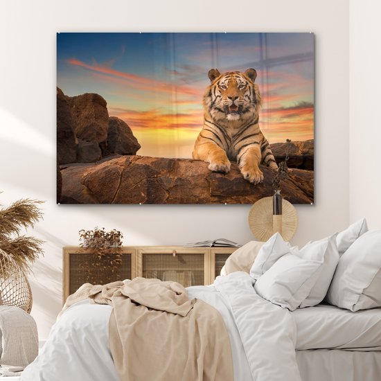 MuchoWow® Peinture sur verre - Tigre - Soleil - Rochers - 180x120 cm - Peintures sur verre acrylique - Photo sur Glas