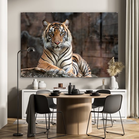 MuchoWow® Peinture sur verre - Tigre - Rocher - Montagnes - 180x120 cm - Peintures sur verre acrylique - Photo sur Glas