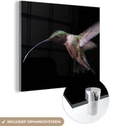 MuchoWow® Glasschilderij 20x20 cm - Schilderij acrylglas - Kolibrie - Vogel - Veren - Foto op glas - Schilderijen
