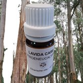 Citroeneucalyptus - Etherische olie - 10 ml - Schimmeldodend