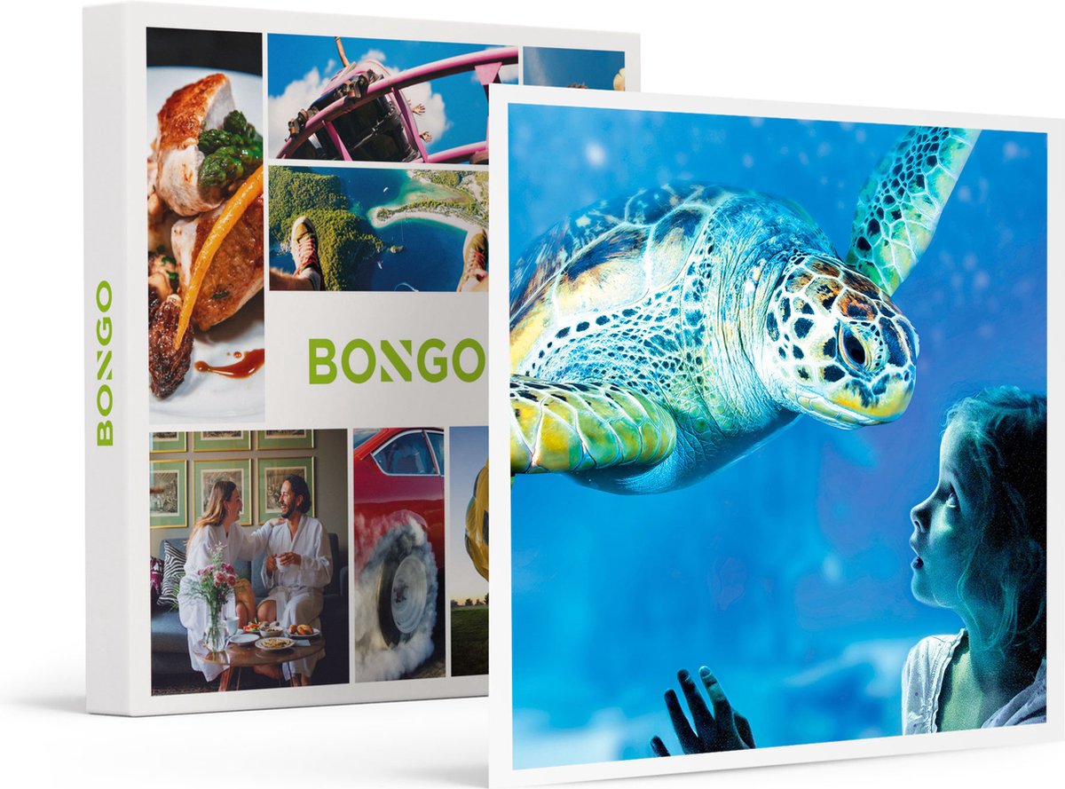 Bongo Bon - 1 Dag Sea Life Marine Park In Blankenberge Voor 1 Volwassene En 1 Kind - Cadeaukaart