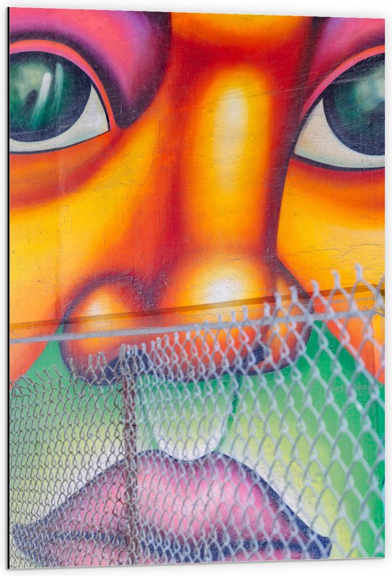 Dibond - Muurschildering van Gezicht Vol met Kleurrijke Vlakken - 60x90 cm Foto op Aluminium (Wanddecoratie van metaal)