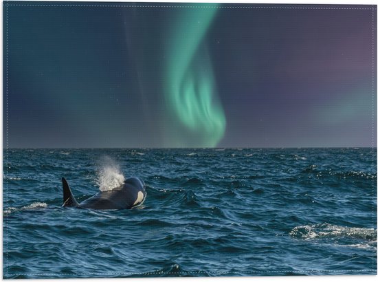 Vlag - Noorderlicht boven Orka in de Zee - 40x30 cm Foto op Polyester Vlag