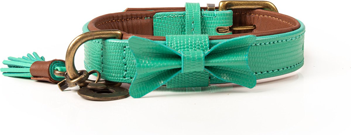 Dwam Halsband Boomer Turquoise - Hondenhalsband - 34-42x2.5 cm