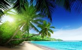 Fotobehang - Vlies Behang - Tropisch Strand met Palmbomen en Zee - 312 x 219 cm
