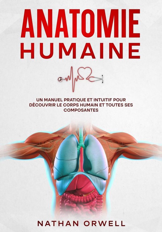 Jeu / Modèle Anatomique Humain échelle 1:3 - 59 Cm De Haut - Genre 'Anatomie 2000' - Occasion