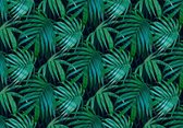 Papier peint photo - Papier peint intissé - Feuilles de jungle - Tropical - Exotique - 416 x 290 cm