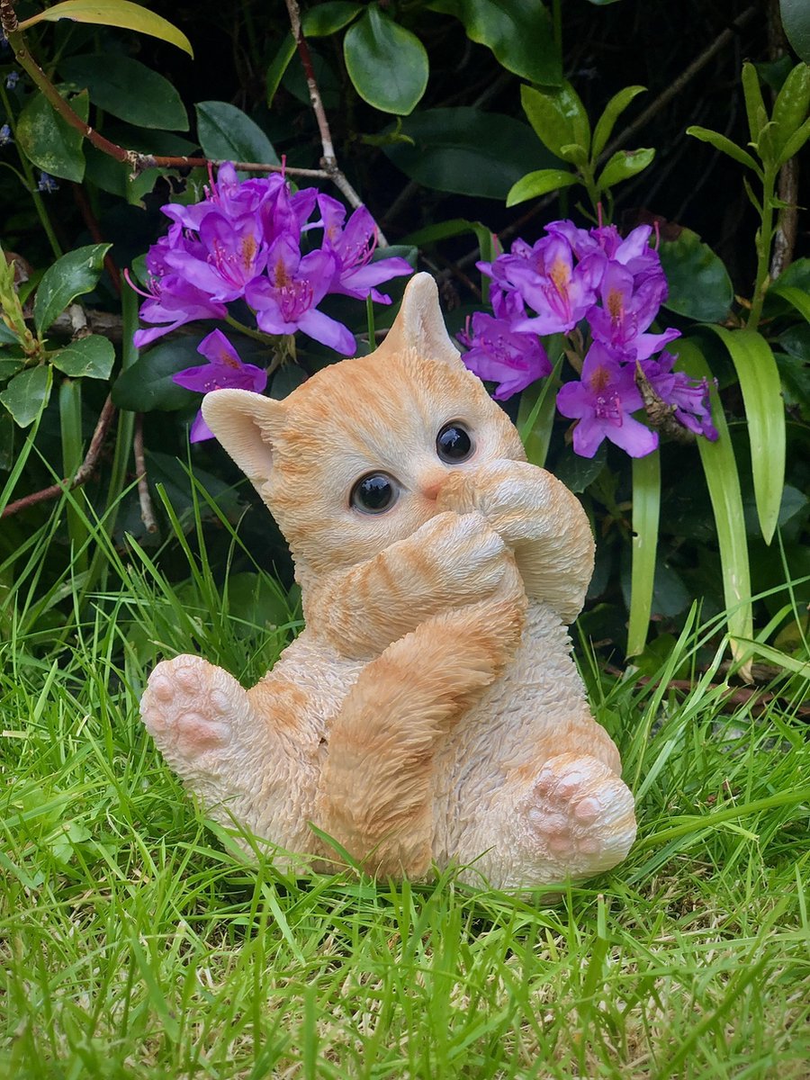 Kat spelend met staart rood 16 cm hoog - kat - kitten - polyester - polyresin - polystone - hoogkwalitatieve kunststof - decoratiefiguur - interieur - accessoire - voor binnen en buiten - cadeau - geschenk - tuinfiguur - tuinbeeldje - tuindecoratie