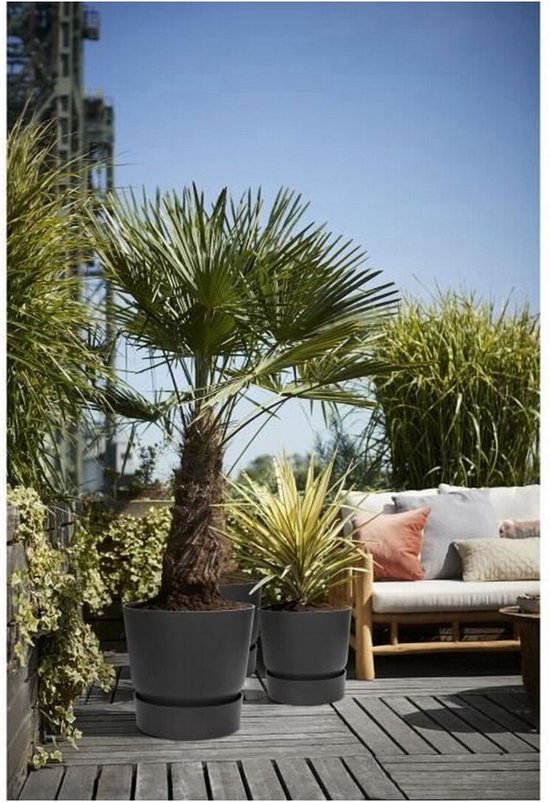 Elho Greenville Rond 30 - Grote Bloempot voor Buiten met Waterreservoir - 100% Gerecycled Plastic - Ø 29.5 x H 27.8 cm - Living black