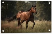 Tuinposter – Bruin Paard met Witte Bles Lopend door Weiland met Hoog Gras - 60x40 cm Foto op Tuinposter (wanddecoratie voor buiten en binnen)